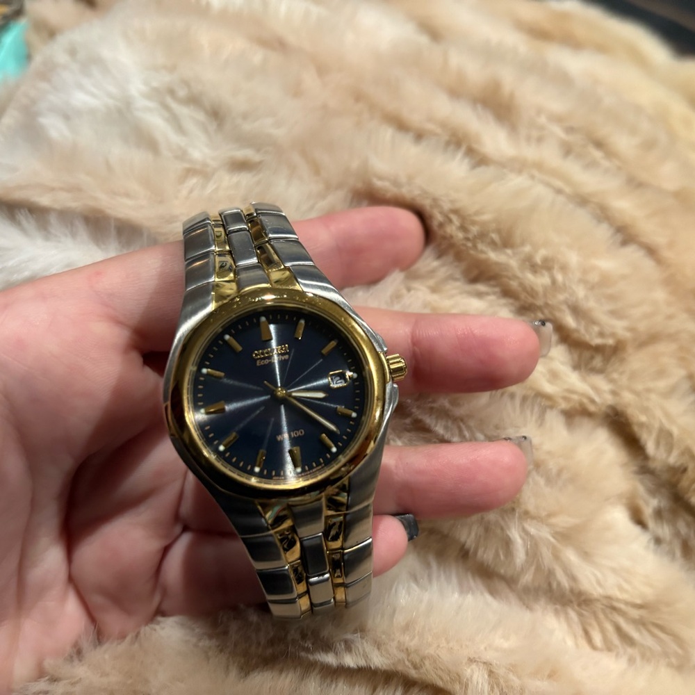 Citizen Gold and Silver Eco-Drive Watch